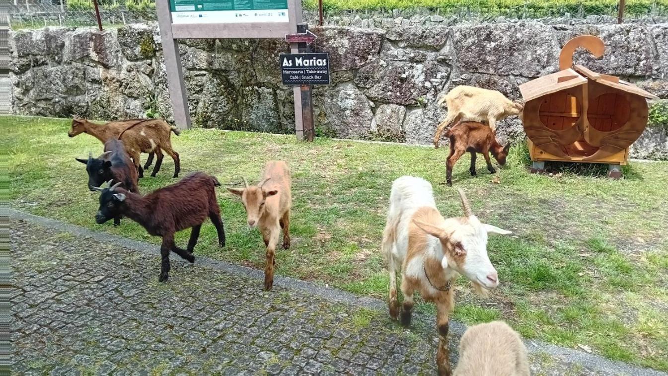 Chalet Do Soajo Arcos de Valdevez Dış mekan fotoğraf